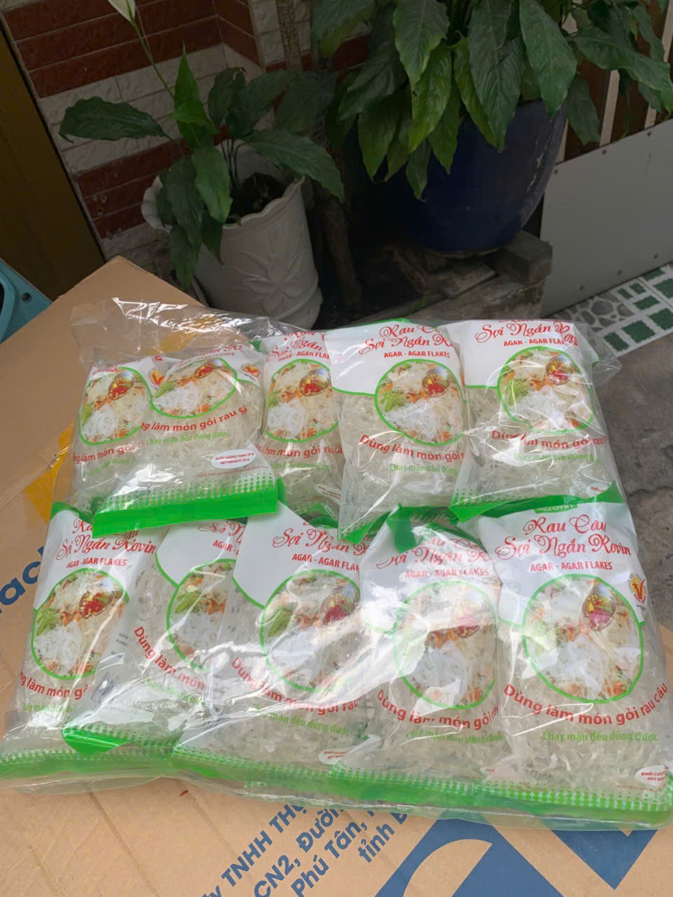 Túi sợi ngắn